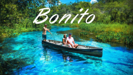 Bonito